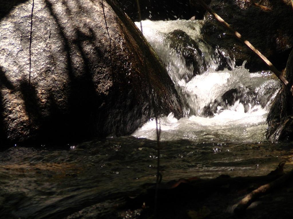Ytororo O Som Das Aguas Araquari Exterior foto